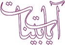 آیات بینات