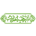 فقیه اهل بیت علیهم السلام
