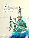 روی نگار