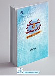 شکر و گذشت در متون اسلامی و روانشناسی