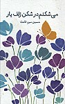 می شکنم در شکن زلف یار