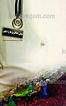 نبض خاکریزها را بگیر
