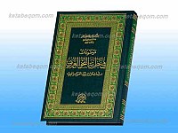موضوعات فی نظریه النحو العربی