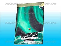 سلوک علوی (راهبردهای امام علی علیه السلام در...