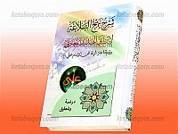 شرح نهج البلاغه لإبن أبی الحدید المعتزلی (رؤیه...