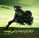تبرها زبان درخت را نمی فهمند