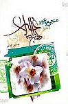 منجی موعود از منظر نهج البلاغه