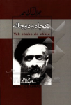 یک چاه و دو چاله و مثلا شرح...