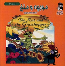 مورچ و ملخ
