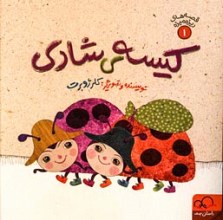 کیسه شادی