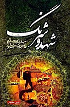 شهد و شرنگ (در رزم رستم و سوگ سهراب)