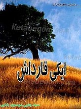 ایکی قارداش