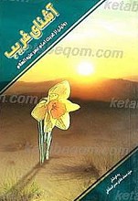 آشنای غریب