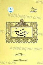 سفینه مصائب