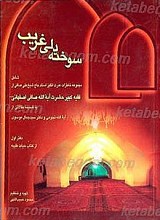 سوخته دلی غریب