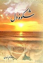 شکوه دل