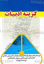 گزینه ادبیات