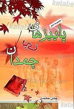 پاییزهای بی چمدان