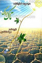 مجموعه نمایشگاه تاک اراک