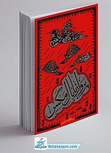 پرواز با بال مگس