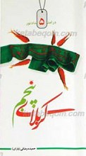 در امتداد نور 5 ـ کربلای پنجم