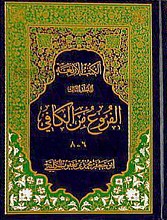 الفروع من الکافی ج (6-8)