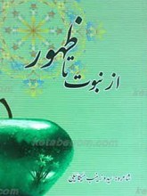 از نبوت تا ظهور