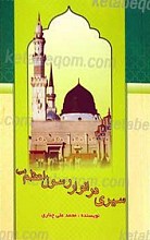 سیری در انوار رسول اعظم صلی الله علیه و آله و سلم