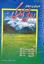 اسباب و عوامل رونق زندگی