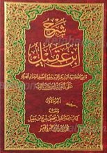 شرح ابن عقیل 2 جلدی