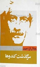 سرگذشت کندوها