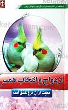 ازدواج و انتخاب همسر
