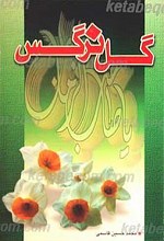 گل نرگس