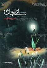 در محضر عارفان