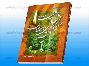 اهل بیت (علیهم السلام) ـ مشکل گشای حاجتمندان