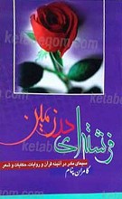 فرشته ای در زمین