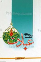 نظم هندسی عبادت