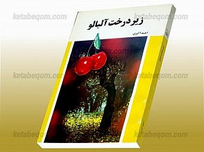 زیر درخت آلبالو