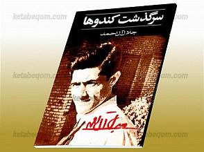 سرگذشت کندوها