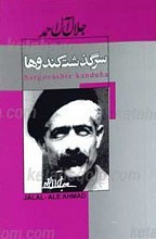 سرگذشت کندوها