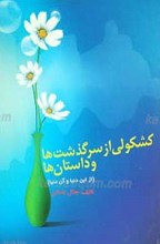 کشکولی از سرگذشت ها و داستان ها