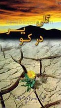 گلی در کویر