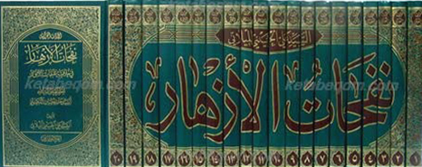 نفحات الأزهار فی خلاصه عبقات الأنوار 20 جلدی
