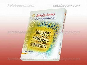ترجمه شرح ابن عقیل جلد 2