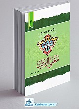 ترجمه و شرح مغنی الادیب - جلد 3