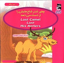 چطور شتر شاخ هایش را از دست می دهد