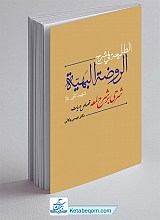 الطلیعه فی شرح الروضه البهیه - شرحی بر شرح لمعه (قصاص و دیات)