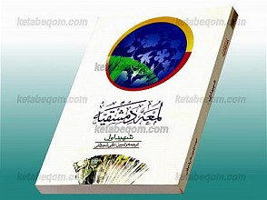 اللمعه دمشقیه (جلد دوم)