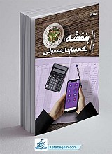 کتاب بنفشه یک حسابدار معمولی