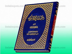 الشیعه و الحاکمون